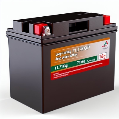 良い値段 51.2V 230Ah ゴルフカート LiFePO4 バッテリー スマートBMS 11.8kWh オンライン